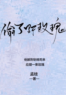 偷了野玫瑰沈听风为什么跟女主分手
