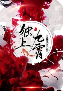 独上九霄TXT下载