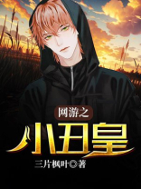 网游小丑 小说