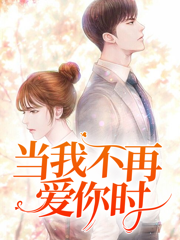 当我不再爱你时书评