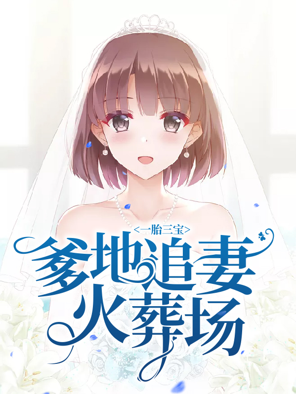 一胎三宝爹地追妻火葬场