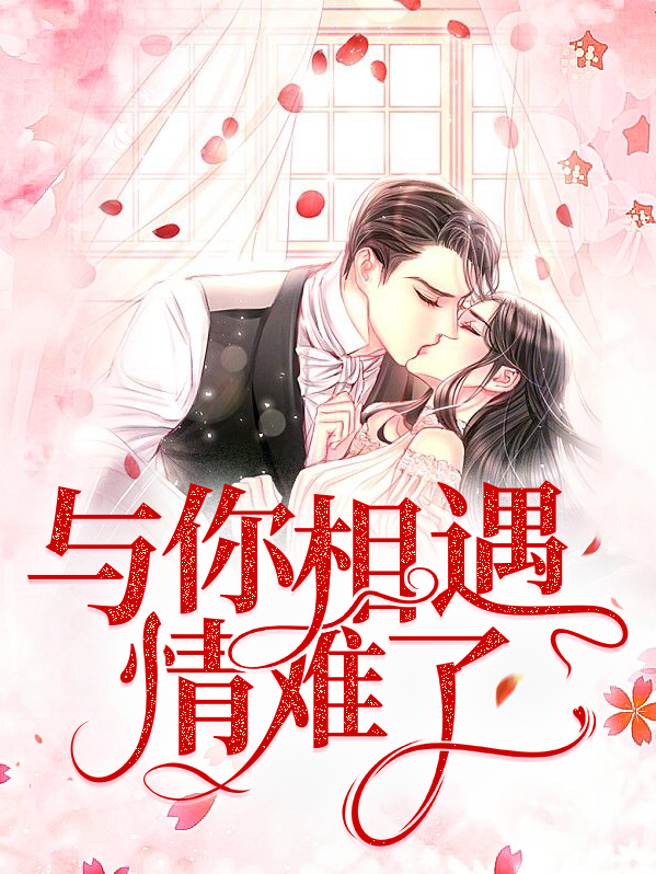 与你相遇情难了小说