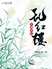 穿越红楼贾母文