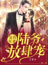 复仇狂妻:陆爷,放肆宠!