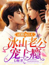 小说试婚老公强势宠