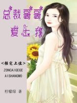 总裁哥哥宠文
