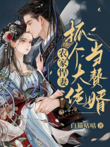 农家悍妻抓个大佬当赘婿TXT下载
