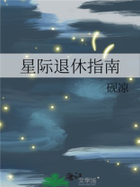星际退休指南路希维德番外