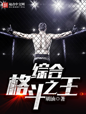 综合格斗之王小说