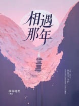 相遇那年 小说