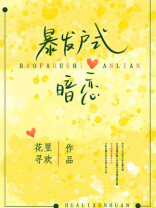暴发户式暗恋讲的什么