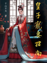 清穿红楼皇子宠妻指南下载