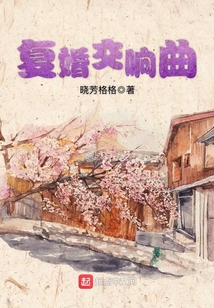 复婚交响曲 晓芳格格