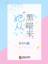 她从黑暗来TXT下载