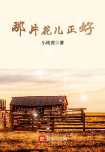 那片花儿正好 小说