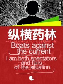 纵横小说林纵