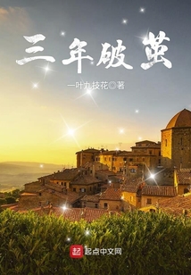 三年破茧蝶变