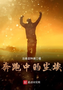 奔跑中的尘埃 小说