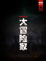 大冒险家小说蔚空