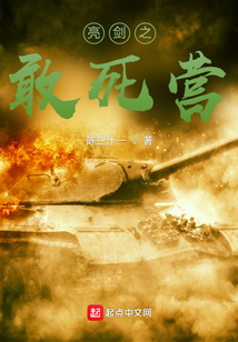 亮剑之敢死营小说