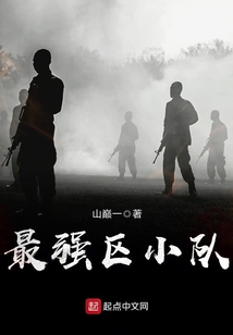 最强区小队小说免费阅读
