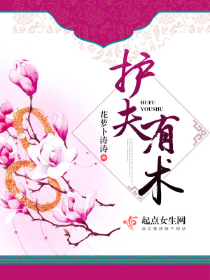 护夫女主