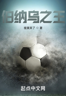 伯纳乌之王无防盗