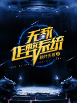 无敌作弊系统 小说