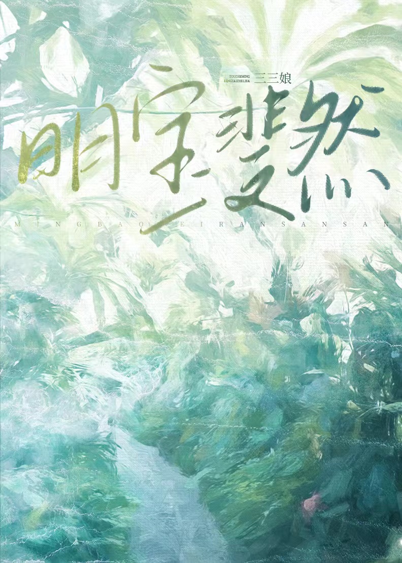 明宝斐然txt