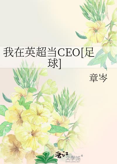 我在英超当CEO[足球]