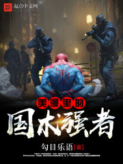 美漫里的国术强者小说