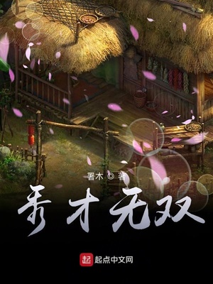 小说秀才无双