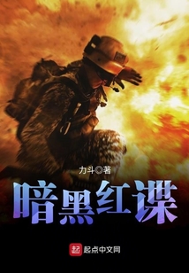暗黑红谍txt