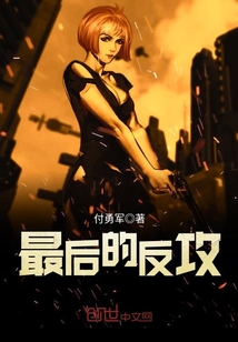 最后的反击小说