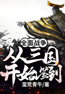 全面战争三国单机版