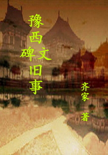 齐红光的小说豫西风云