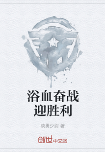 浴血奋战经历