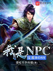 反派NPc