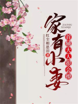 家有小妻:首辅大人很会撩