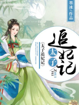 太子妃追夫记