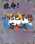 小结巴tx