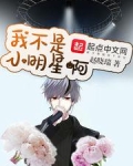 我不是小明星全文阅读