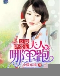 总裁降爱记:夫人哪里跑