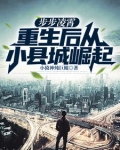 步步凌霄重生后从小县城崛起