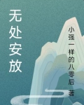 无处安放的意思