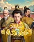 大明雄主 小说