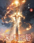 万火至尊 小说