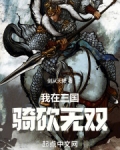 骑马与砍杀 无双三国