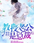 盛宠萌妻:教授老公是总裁