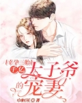 幸孕太子妃太腹黑